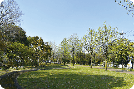 小川が流れる緑豊かな緩衝緑地公園の芝生広場と並木